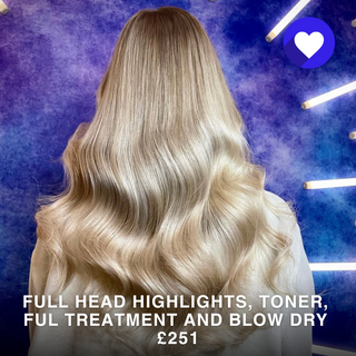 Full Head Highlights, Toner, FUL Intense Moisture Treatment, and Blow Dry