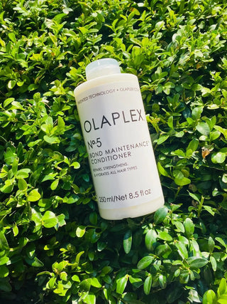 IS OLAPLEX GOOD FOR CURLY HAIR? - The LTL Shop