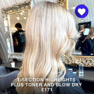 T-Section Highlights, Toner and Blow Dry