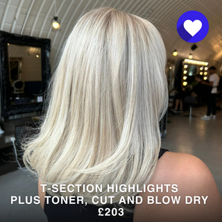 T-Section Highlights, Toner, Cut and Blow Dry