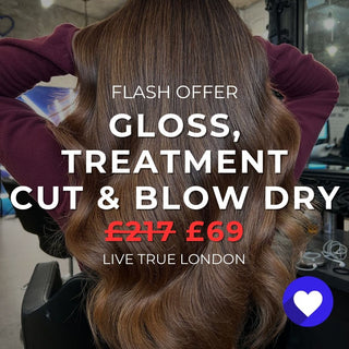 24 FLASH: Glossing, Moisture Treatment, Cut & Blow Dry - The LTL Shop
