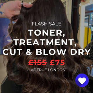 24 FLASH: Toner Moisture Treatment Cut & Blow Dry