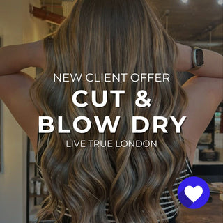 New Clients: Cut & Blow Dry