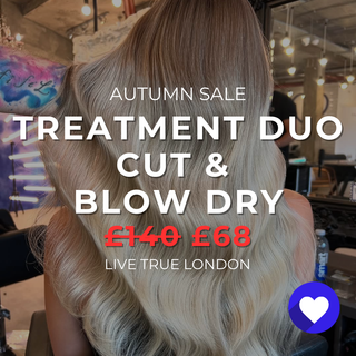 AUTUMN SALE - Cut, Treatment Duo & Blow Dry