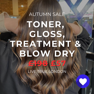 AUTUMN SALE - Toner, Glossing, Treatment & Blow Dry