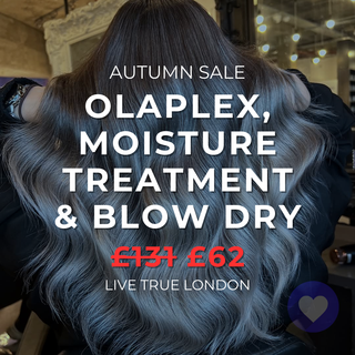 Autumn Sale - Olaplex Salon Treatment, Intense Moisture Treatment & Blow Dry