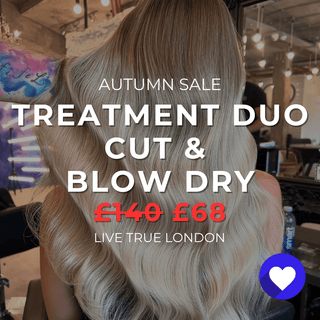 AUTUMN SALE - Cut, Treatment Duo & Blow Dry - The LTL Shop