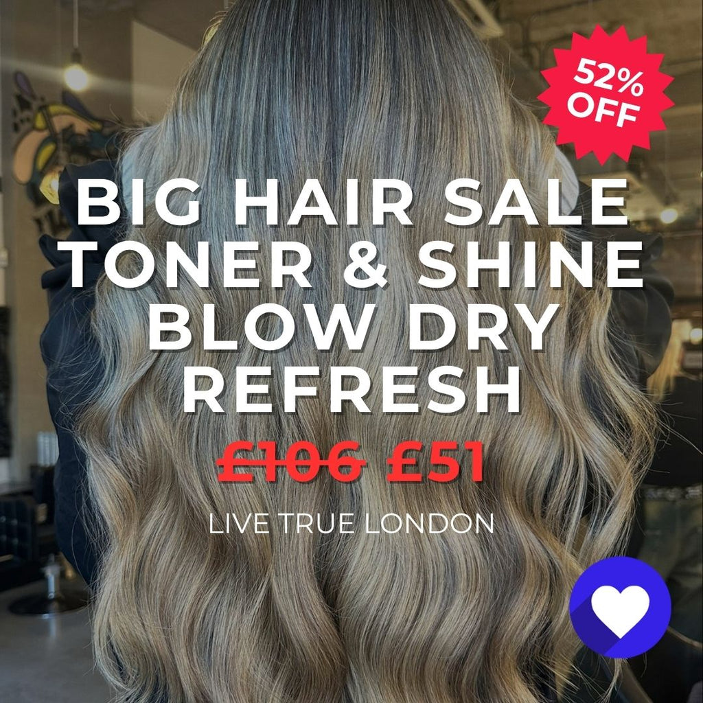 Big Hair Sale Toner, Shine Treatment & Blow Dry Refresh - The LTL Shop