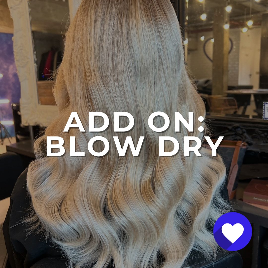 Blow Dry (Add On) - The LTL Shop