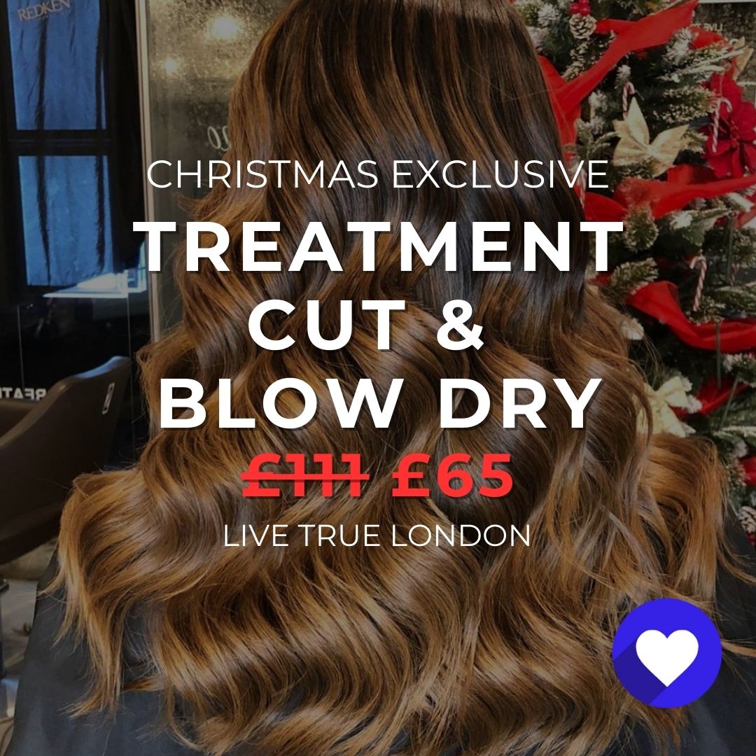 Christmas: Shine and Moisture Treatment plus Cut and Blow Dry - The LTL Shop