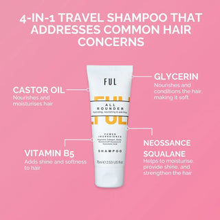 FUL Travel Minis Set