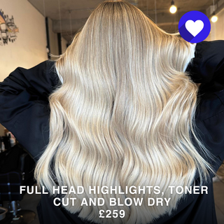 Full Head Highlights Toner Cut and Blow Dry