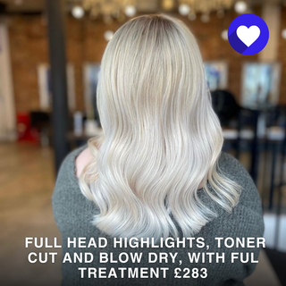 Full Head Highlights Toner FUL Intense Moisture Treatment Cut and Blow Dry