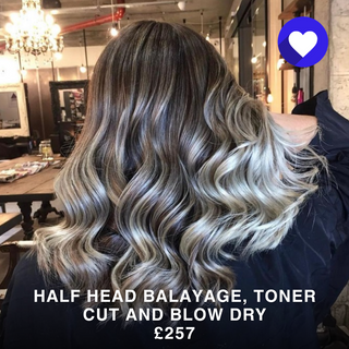 Half Head Balayage Toner Cut and Blow Dry