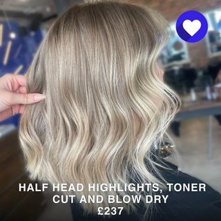 Half Head Highlights Toner Cut and Blow Dry