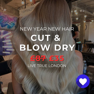 New Year: Cut & Blow Dry - The LTL Shop