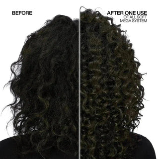 Redken All Soft Mega Curls Hydramelt 150ml - The LTL Shop