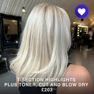 T-Section Highlights Toner Cut and Blow Dry