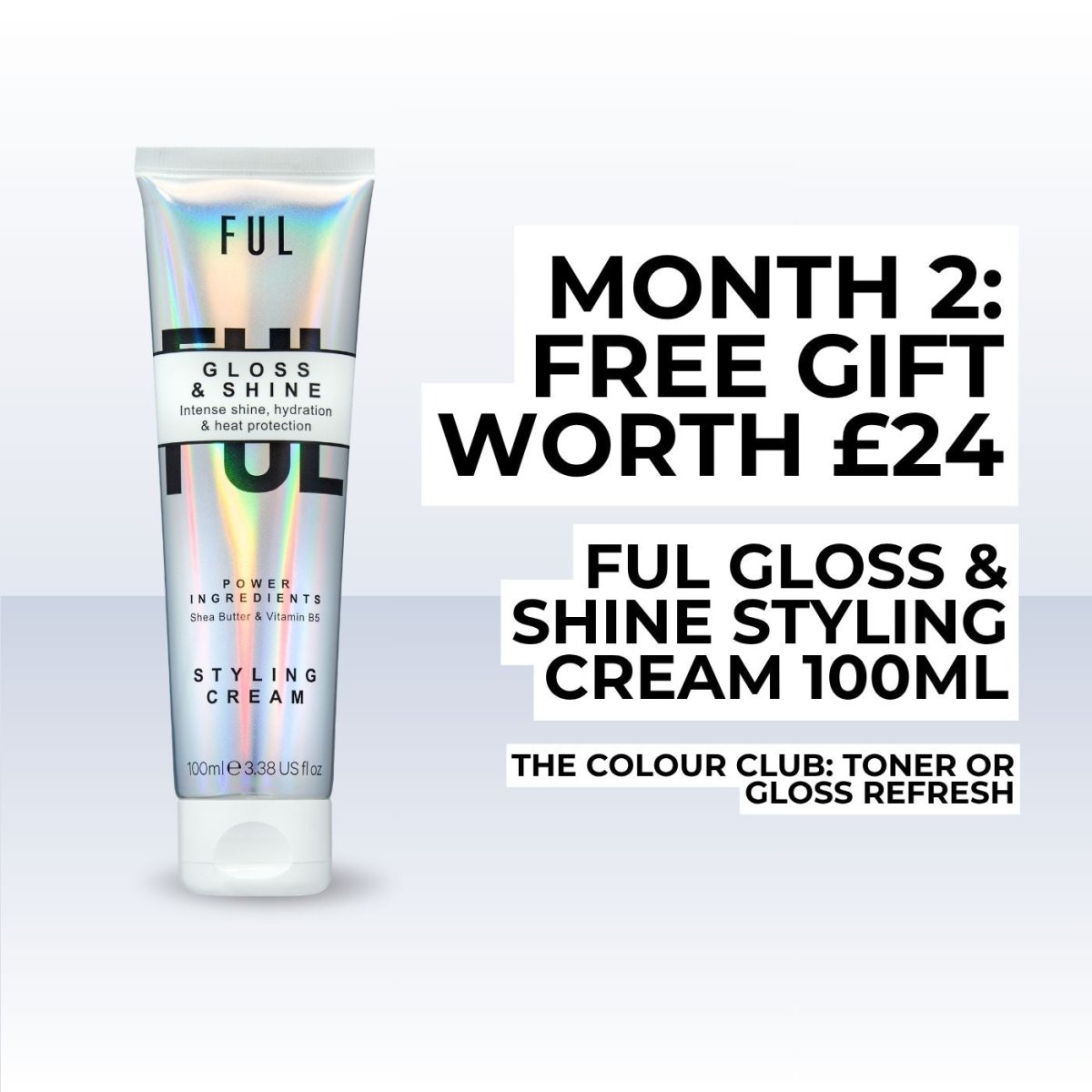 The Colour Club - Toner or Gloss Refresh - The LTL Shop